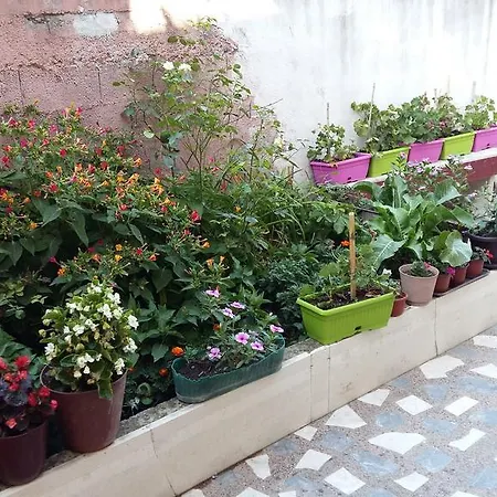 شقة Porodicna Kuca Corbic *